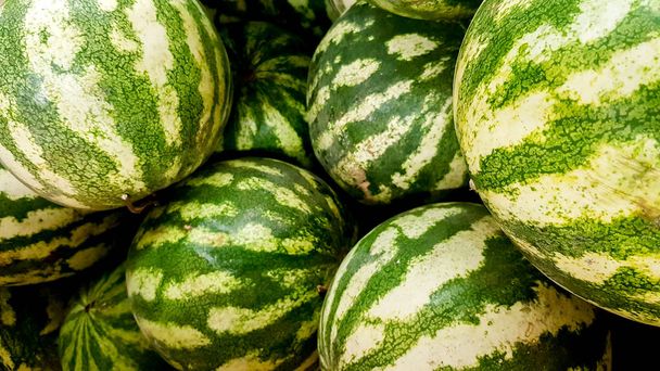 Muitas grandes melancias verdes doces no mercado
 - Foto, Imagem