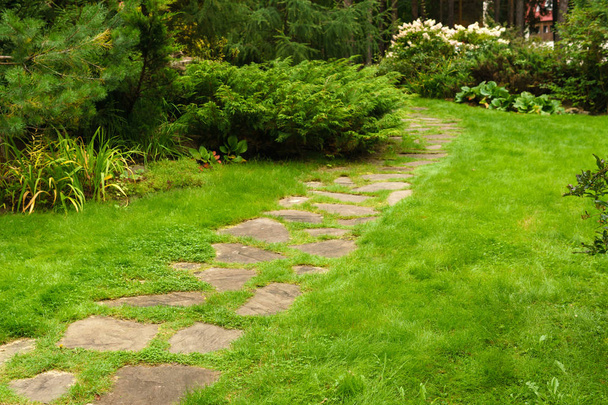 césped entre arbustos decorativos con un camino hecho de losas de piedra
 - Foto, Imagen