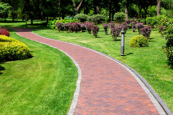 Footpath alley with a winding with a drainage system and ground lantern, a path leading into a park with trees along a lawn with a green lawn and bushes on a sunny day, nobody. - Фото, изображение
