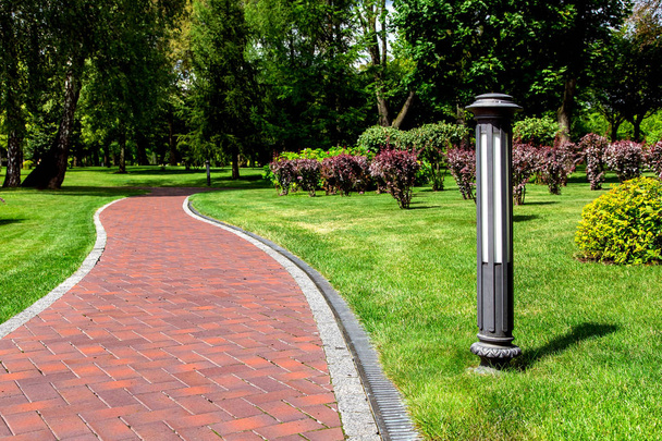 Footpath winding alley  with a drainage system and ground lantern, a walkway on park with trees along a lawn with a green lawn and bushes on a sunny summer day, nobody. - Foto, afbeelding