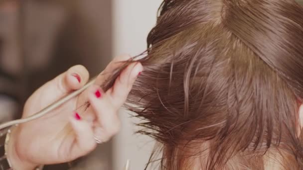 Kadeřník rovnání a stříhání ženských vlasů na ubrousku pro obvaz nůžkami, pročesávání v kadeřnictví a v šatně. V kadeřnictví se mezi prsty v holičství střímá hlavička s holičem - Záběry, video