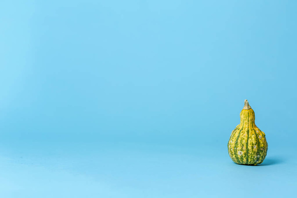 An autumn ornamental gourd - Фото, изображение