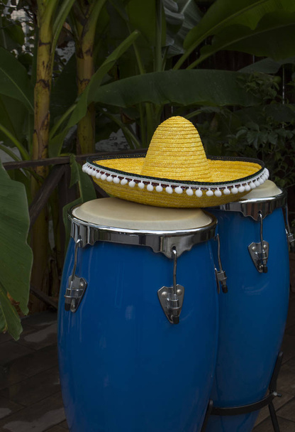 dos congas azul tambor y sombrero amarillo sobre un fondo de palmeras
 - Foto, imagen