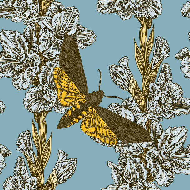 Beautiful seamless floral pattern. Butterfly dead head and gladiolus flowers.  - Vektor, Bild