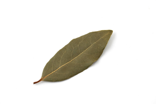 liść laurowy Laurier na białym tle - Zdjęcie, obraz