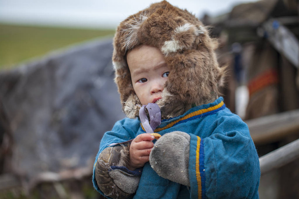 tundra, Äärimmäinen pohjoinen, Jamal, laitumen Nenets ihmisiä
,  - Valokuva, kuva