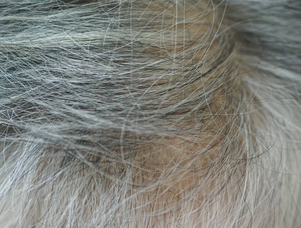 Cabelo grisalho, as mulheres envelhecem, seus cabelos na cabeça se tornarão brancos
 - Foto, Imagem