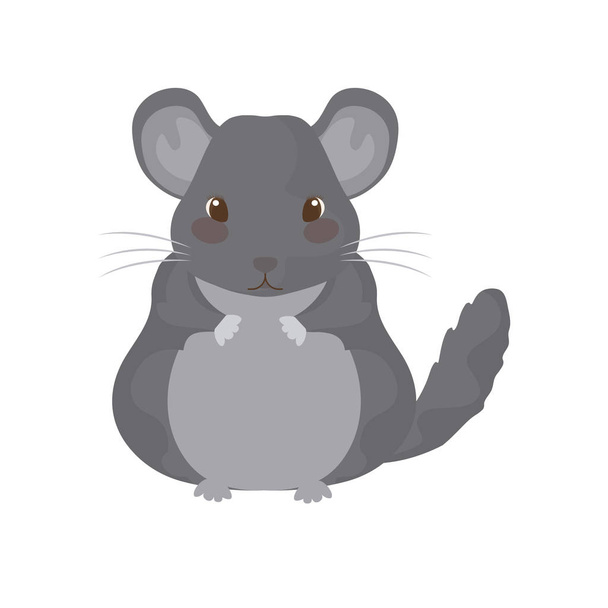 pequeno hamster cinza com fundo branco
 - Vetor, Imagem