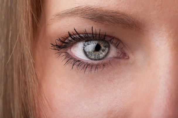 Portrait of a pretty girl close up eye - Foto, Imagen