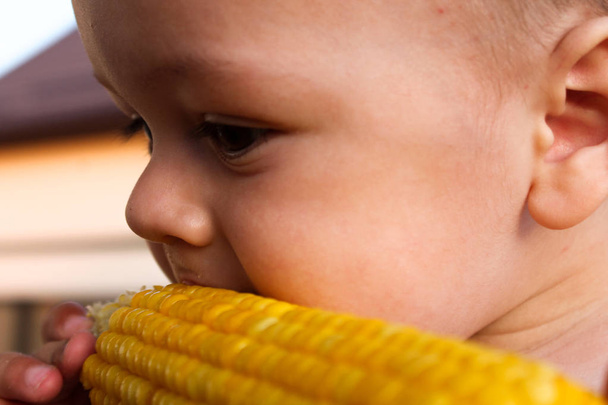 小さな子供がコブの上にバタートウモロコシを食べる - 写真・画像
