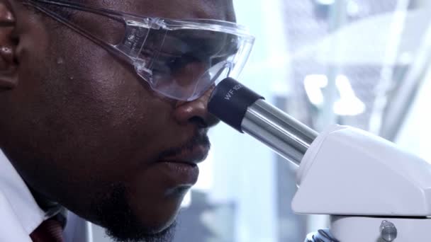 African-american scientist working in lab. Doctor making microbiology research. Biotechnology, chemistry, bacteriology, virology, dna and health care. - Filmati, video
