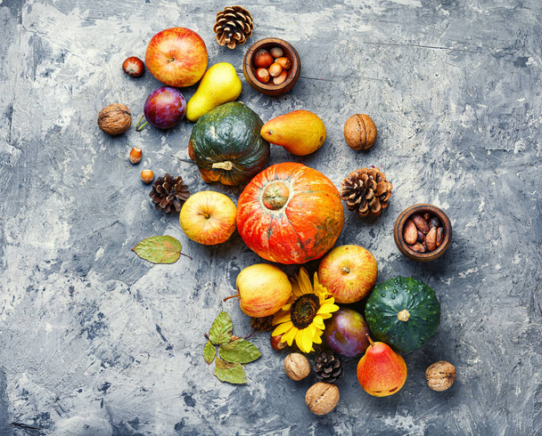 Herfst stilleven van fruit - Foto, afbeelding