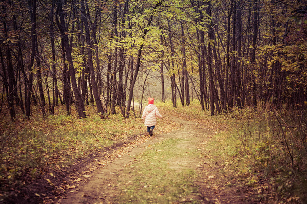 Pequeño bebé caminando en el bosque de otoño
 - Foto, imagen