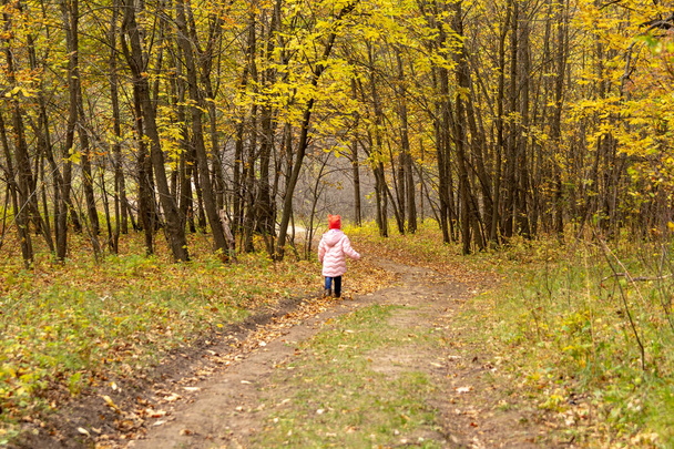 Pieni vauva kävelee syksyllä metsässä
 - Valokuva, kuva