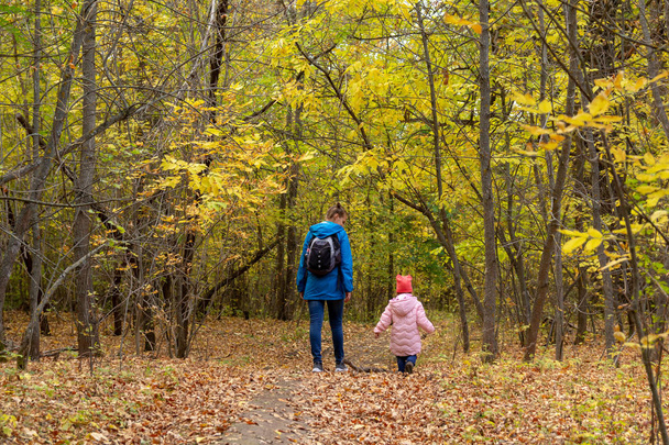 Anne ve kızı sonbahar ormanda yürüyor - Fotoğraf, Görsel
