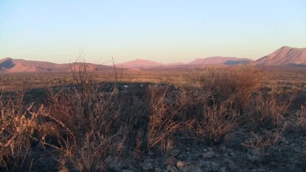 Trockene, trockene Landschaft mit Büschen in den Erongo-Bergen, Namibia, Afrika - Filmmaterial, Video
