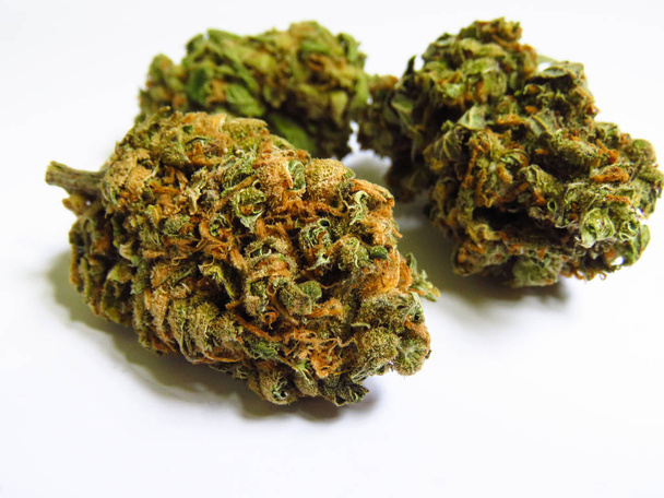 Closeup of medical cannabis bud. Lemon haze. Marijuana bud on white background. - Photo, Image