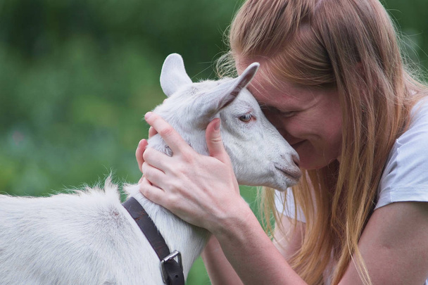 young beautiful girl hugging a white goat - Фото, изображение