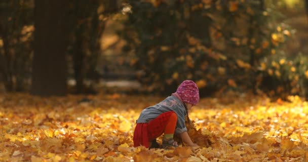 Roztomilá holčička, která si zahrává s listím v autumském lese.. - Záběry, video
