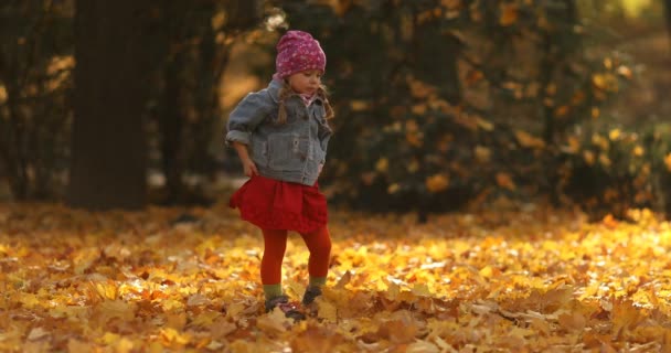 Söpö pieni tyttö leikkii lehtiä syksyllä metsässä
. - Materiaali, video