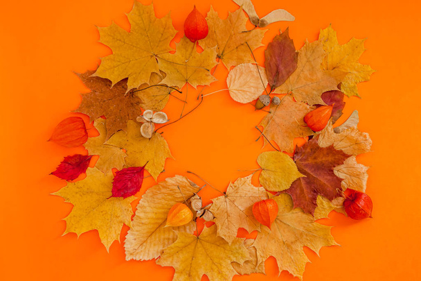 Marco de corona de hojas secas sobre fondo de color naranja
 - Foto, imagen