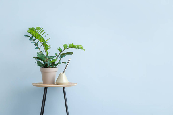 Table with houseplant near color wall - Photo, Image