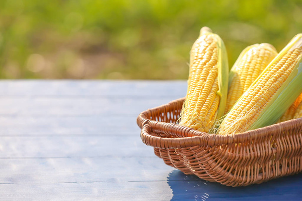 Basket with fresh corn cobs on table outdoors - Zdjęcie, obraz