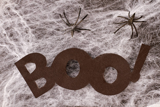 Word BOO on decorative spider web. - Foto, Bild