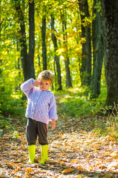 Autumn child in autumn park. - Foto, Imagen