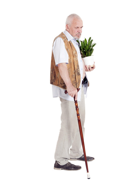 Elderly man with a cane and flowerpot in hand - Fotó, kép