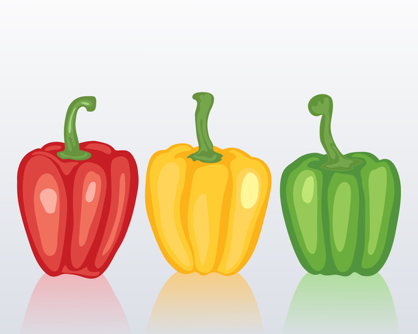 paprika zeleninová - Vektor, obrázek
