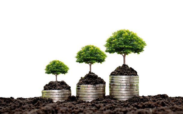 Árboles creciendo en pilas de monedas y suelo Aislados sobre un fondo blanco con concepto de crecimiento financiero
 - Foto, Imagen