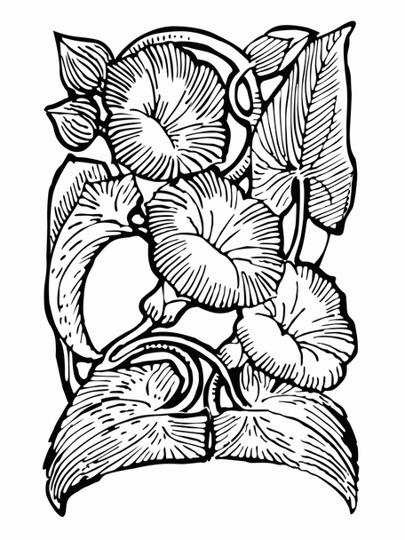 Чорно-біла квітка для малювання
 - Фото, зображення