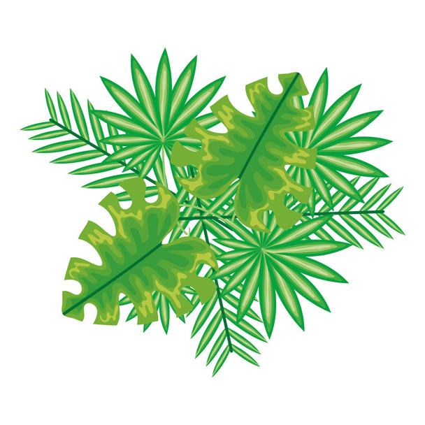 exotic and tropical leafs plant decoration - Wektor, obraz