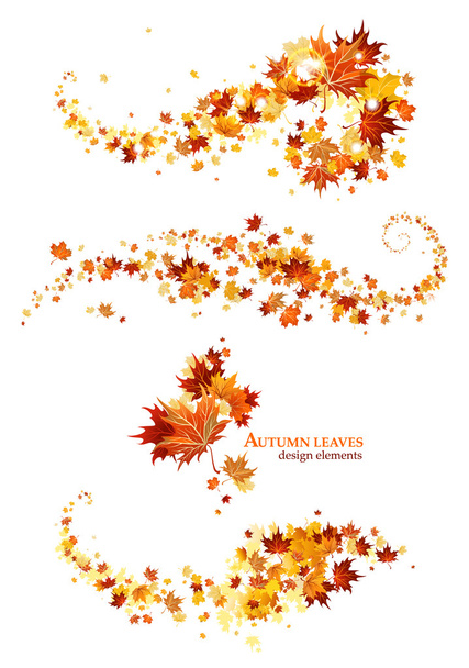 Autumn leaves design elements - Vector, Image