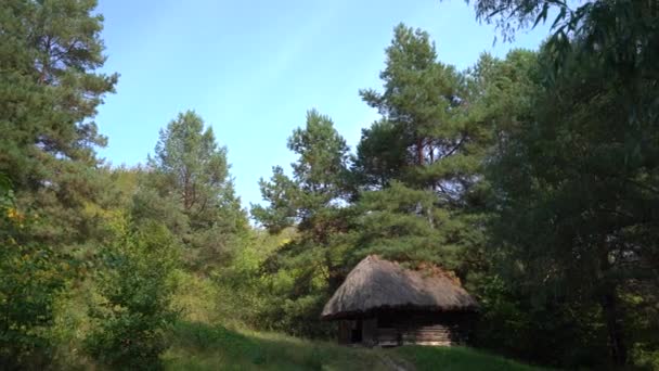 Παλιό ξύλινο σπίτι με αχυρένια στέγη στο δάσος. Το παλιό σπίτι στα βουνά. Κοντινά εστιατόρια. - Πλάνα, βίντεο