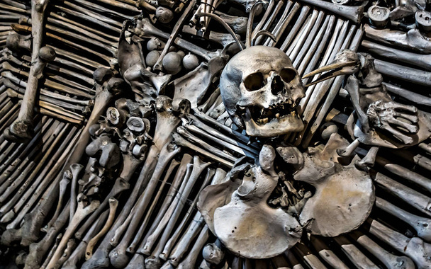 Teschi ossei di scheletro umano
 - Foto, immagini