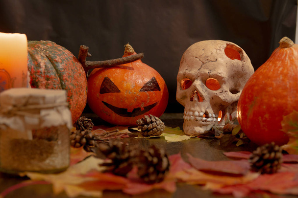 halloween background, skull candlestick, burning candle and pumpkins on autumn leaves, a bank with herbs, cones on a black background - Foto, imagen