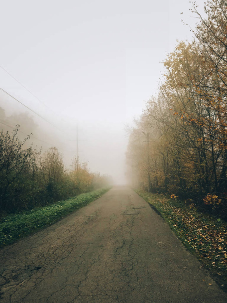 Осенняя дорога в лесу с осенними листьями в туманное холодное утро. Мис
 - Фото, изображение