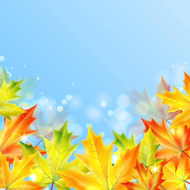 Autumn maple leaves on a blue sparkling background.autumn backgr - Vector, Image