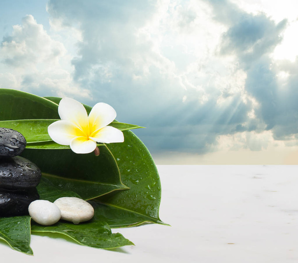 Flor, folhas e pedras para massagem terapêutica. Spa conceito saudável
 - Foto, Imagem