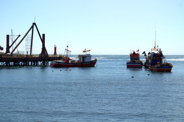 Halászvonóhálós halászhajók vitorláskikötő, Antofagasta, Chile - Fotó, kép