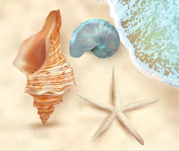 Realistische set van verschillende mooie schelpen. Sea Wave. Vector - Vector, afbeelding