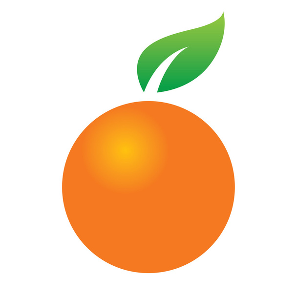 Orange citrus fruit - Vector, Image