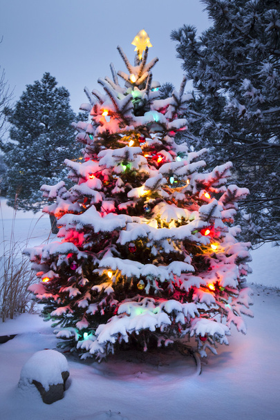 hell erleuchteter, schneebedeckter Weihnachtsbaum nach Wintersturm - Foto, Bild