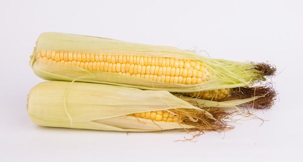 maïs - Foto, afbeelding