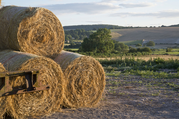 Summer countrysdie landscape of stack of hay bales against rural - Photo, Image