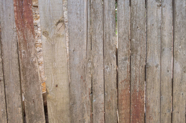 古い風化した松の板からのフェンス。天然熟成木材の質感。ミミズの穴 錆びた釘クリエイティブなヴィンテージの背景. - 写真・画像