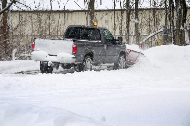 arar neve em Michigan
 - Foto, Imagem
