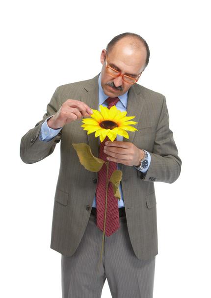 The businessman and flower - Фото, изображение